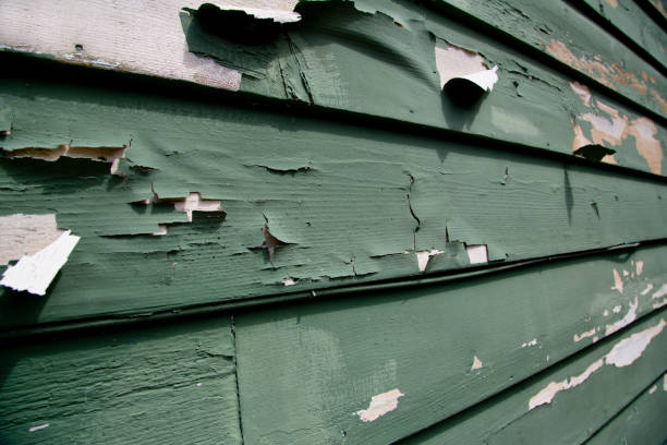 Best Residential Junk Removal  in Olathe, CO
