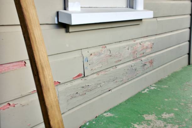 Best Dumpster Rental Services  in Olathe, CO